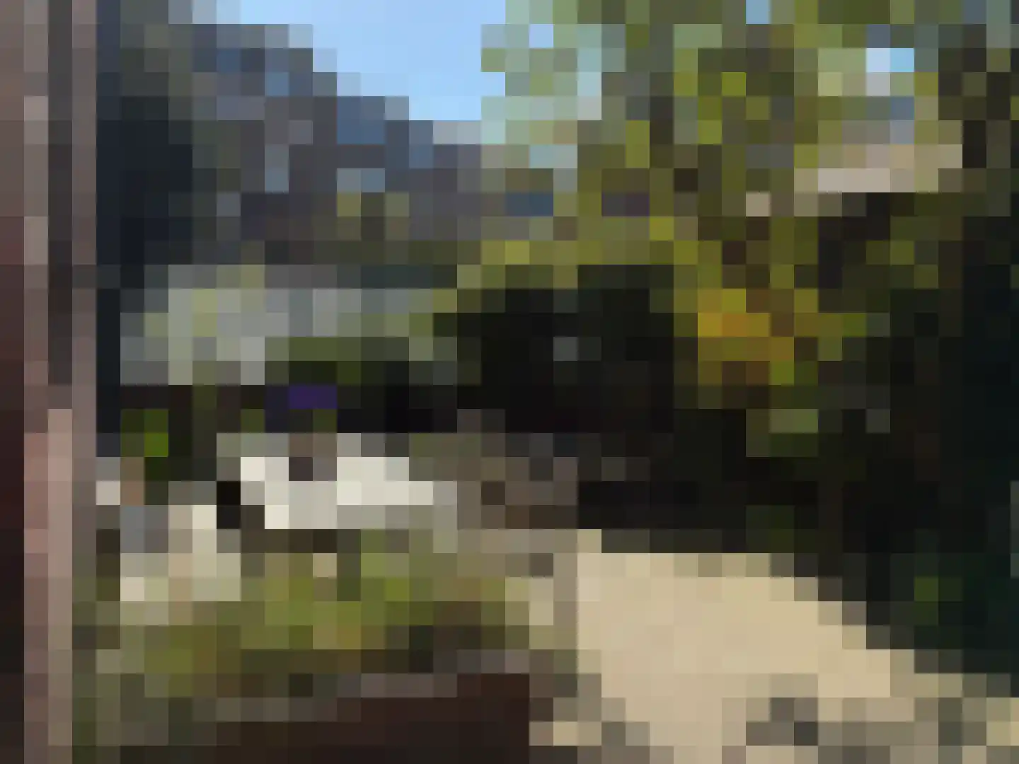 Cornelis Jolstraat 2 D Den Haag thumbnail 33