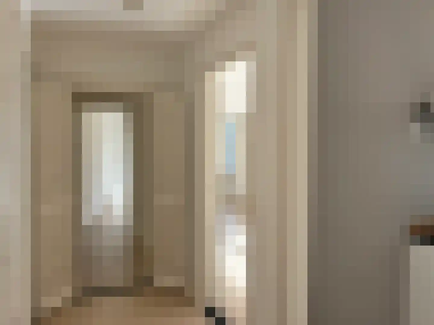 Cornelis Jolstraat 2 D Den Haag thumbnail 7