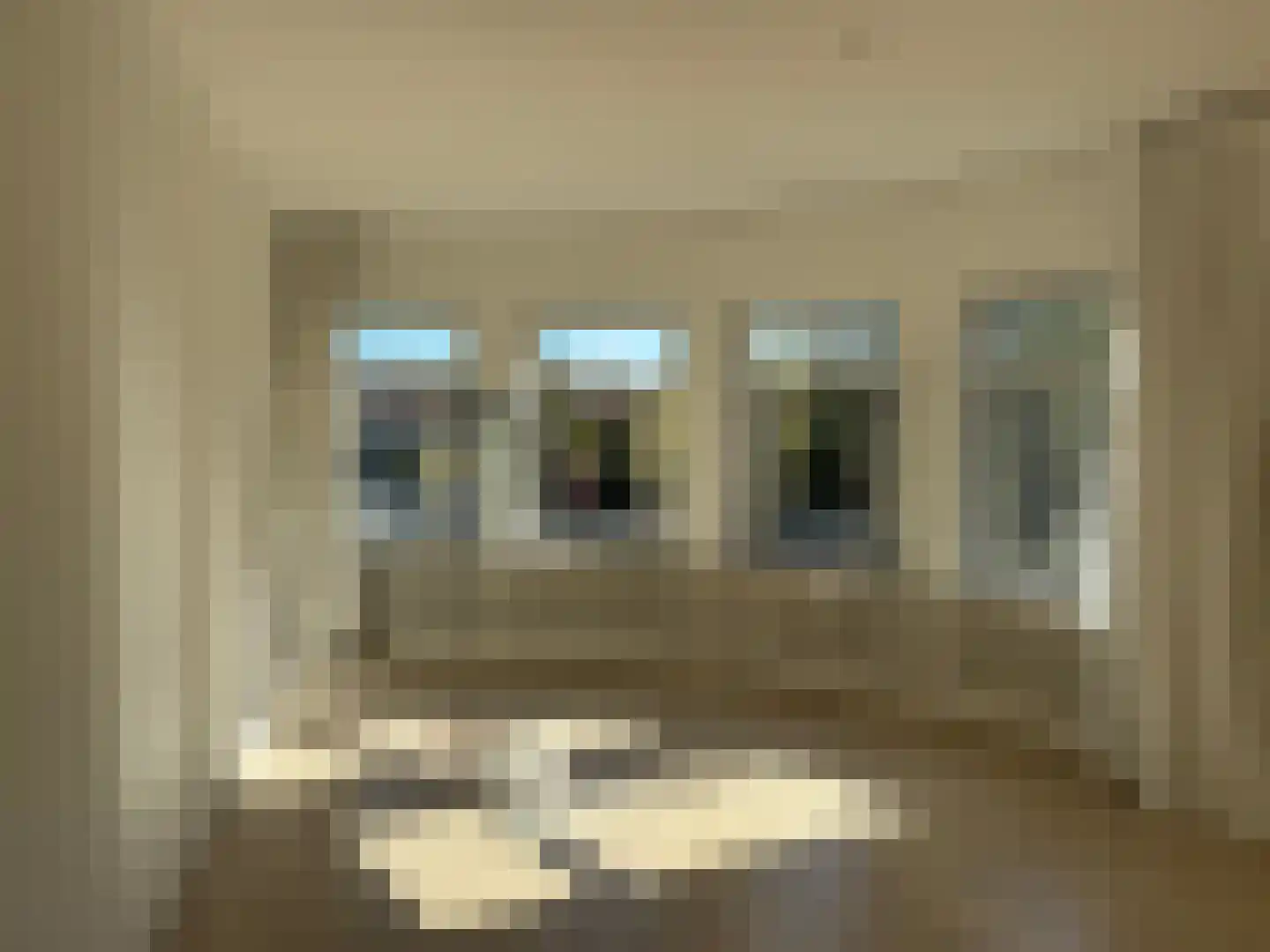 Cornelis Jolstraat 2 D Den Haag thumbnail 9