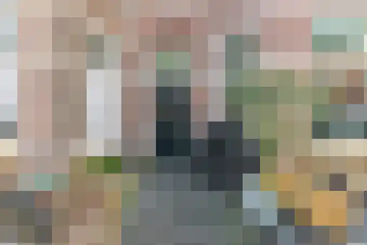 Cornelis Jolstraat 26 Den Haag thumbnail 63