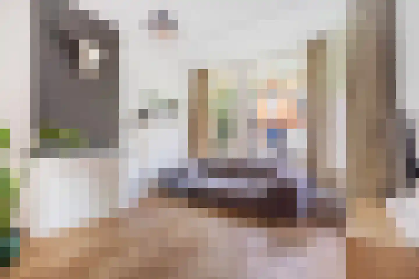 Cornelis Jolstraat 28 A Den Haag thumbnail 10