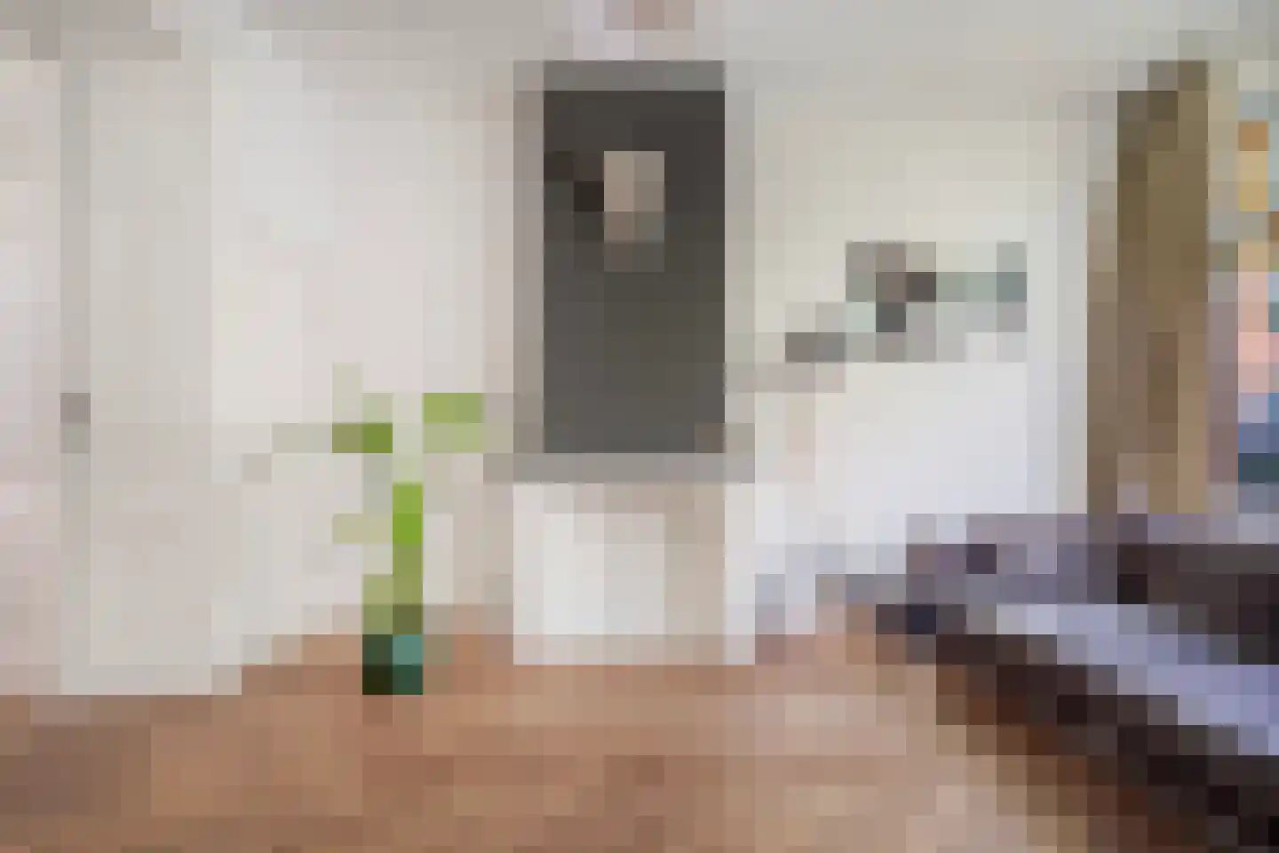 Cornelis Jolstraat 28 A Den Haag thumbnail 11