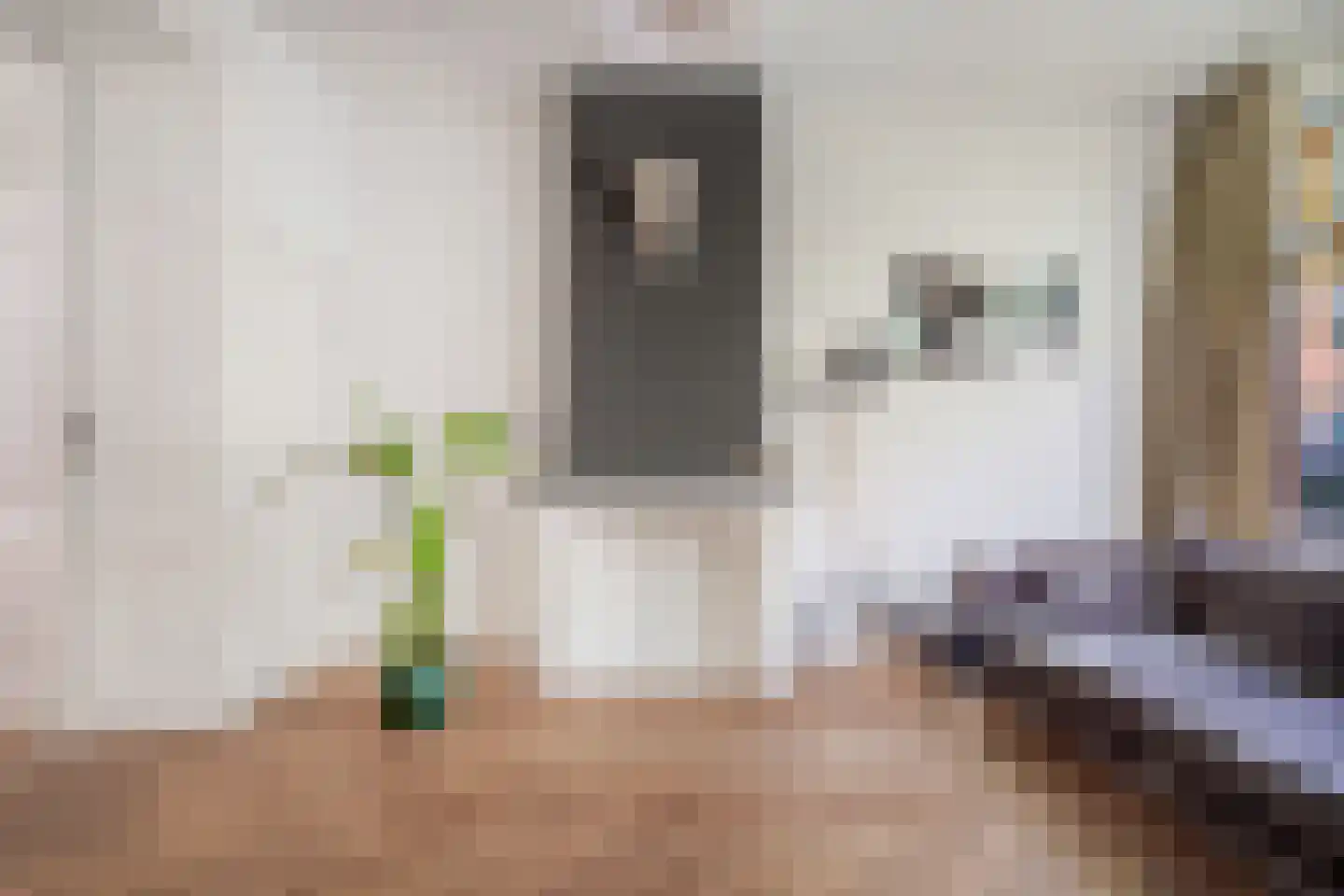 Cornelis Jolstraat 28 A Den Haag thumbnail 15