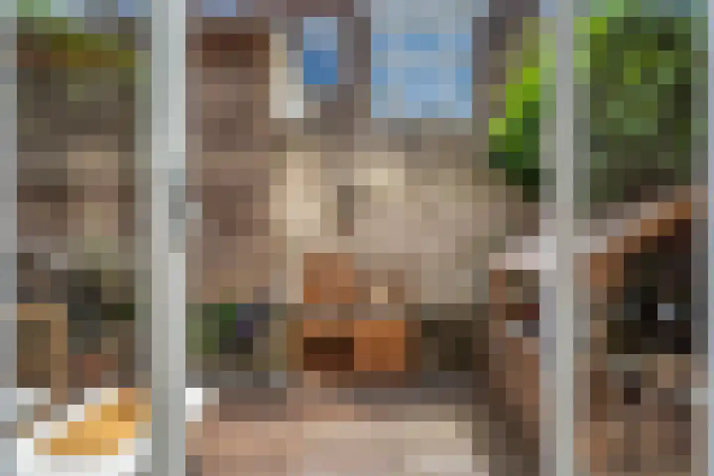 Cornelis Jolstraat 28 A Den Haag thumbnail 24