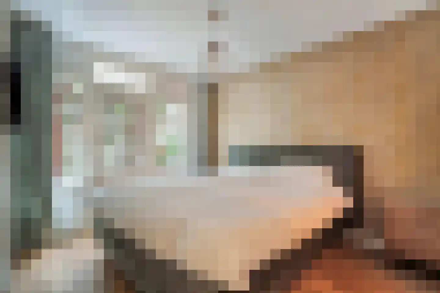 Cornelis Jolstraat 28 A Den Haag thumbnail 26