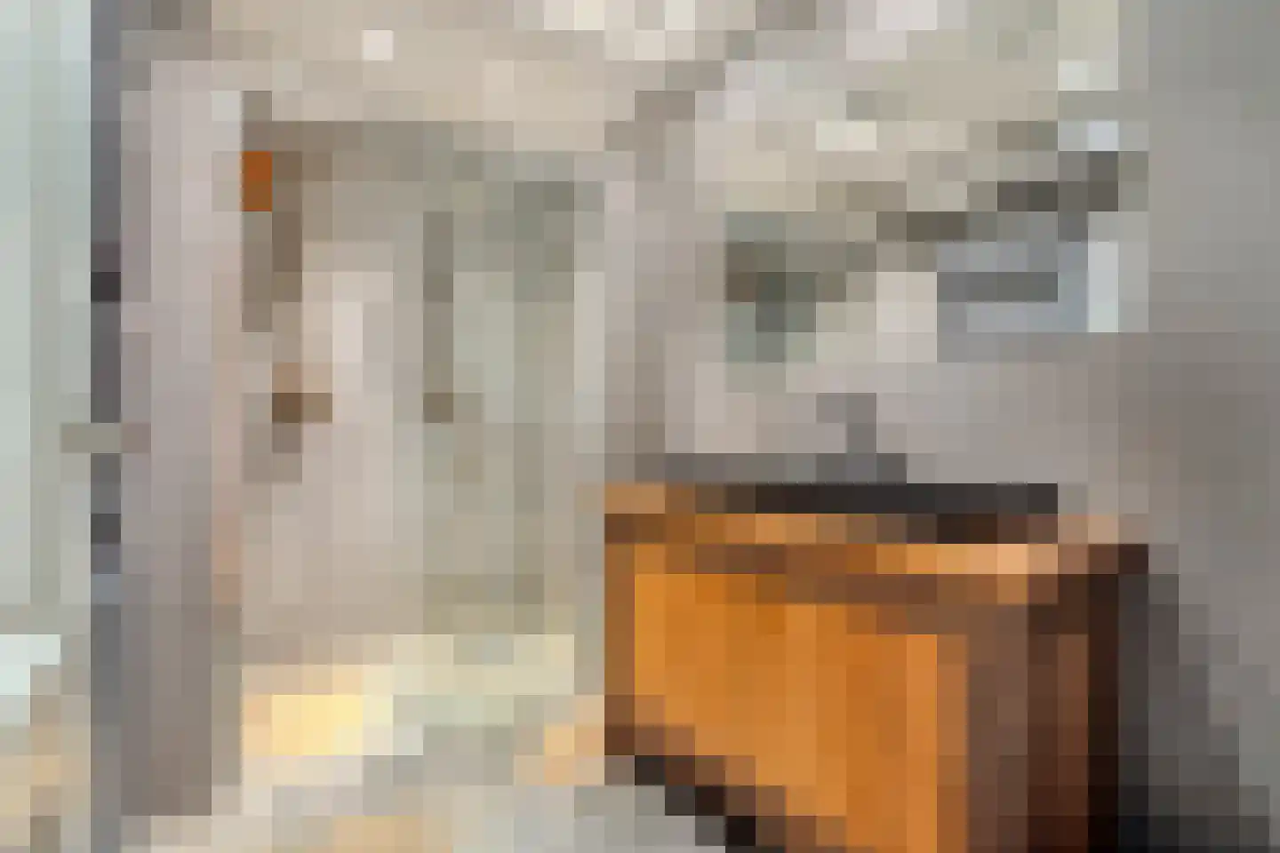 Cornelis Jolstraat 28 A Den Haag thumbnail 35