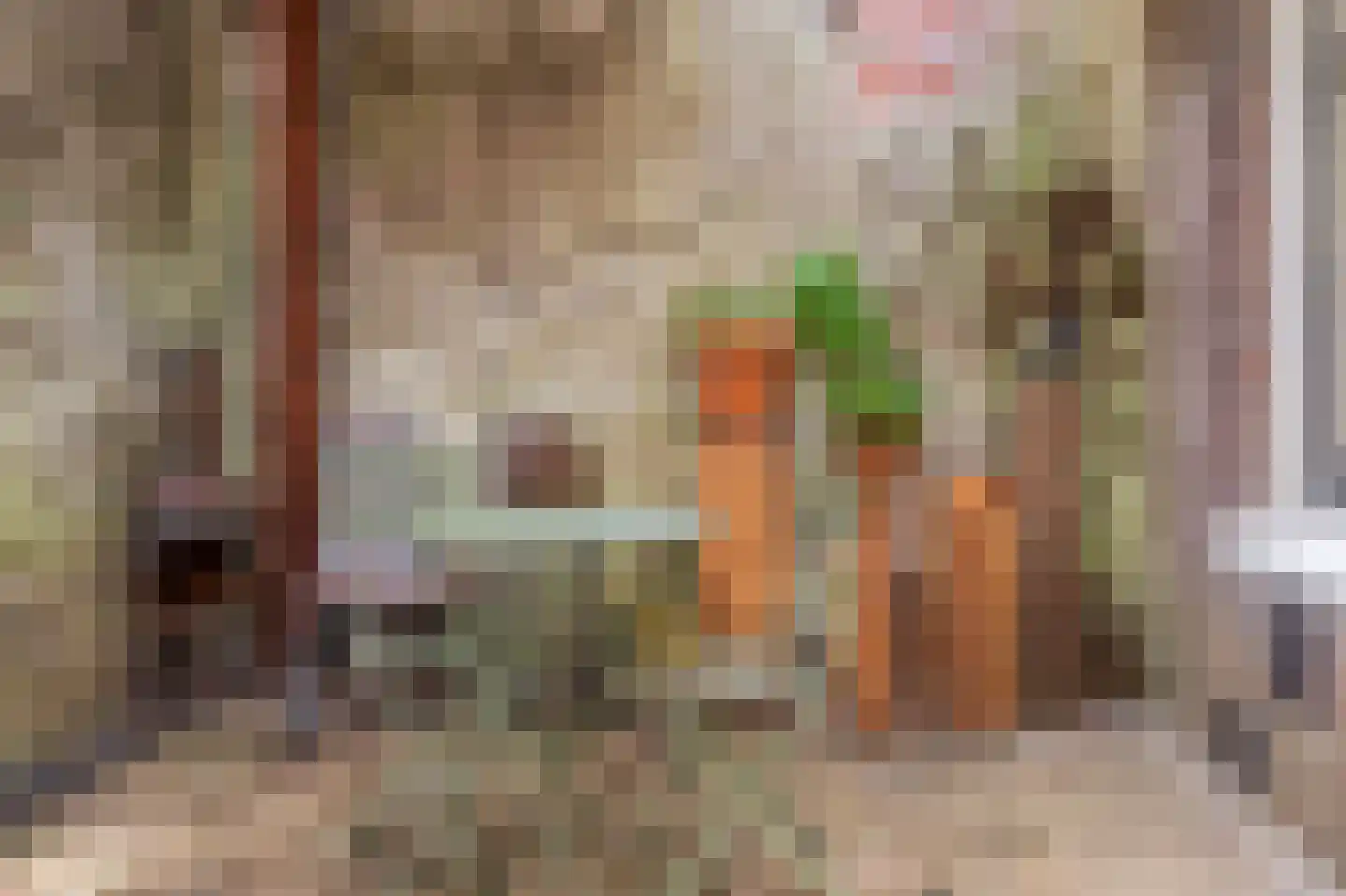 Cornelis Jolstraat 28 A Den Haag thumbnail 38