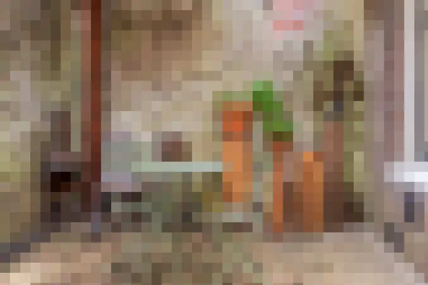 Cornelis Jolstraat 28 A Den Haag thumbnail 43