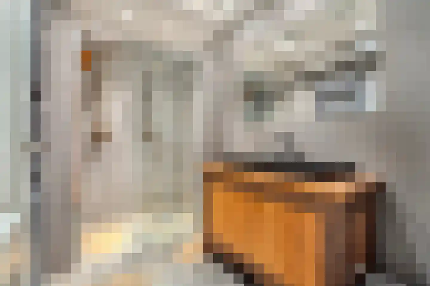 Cornelis Jolstraat 28 A Den Haag thumbnail 6