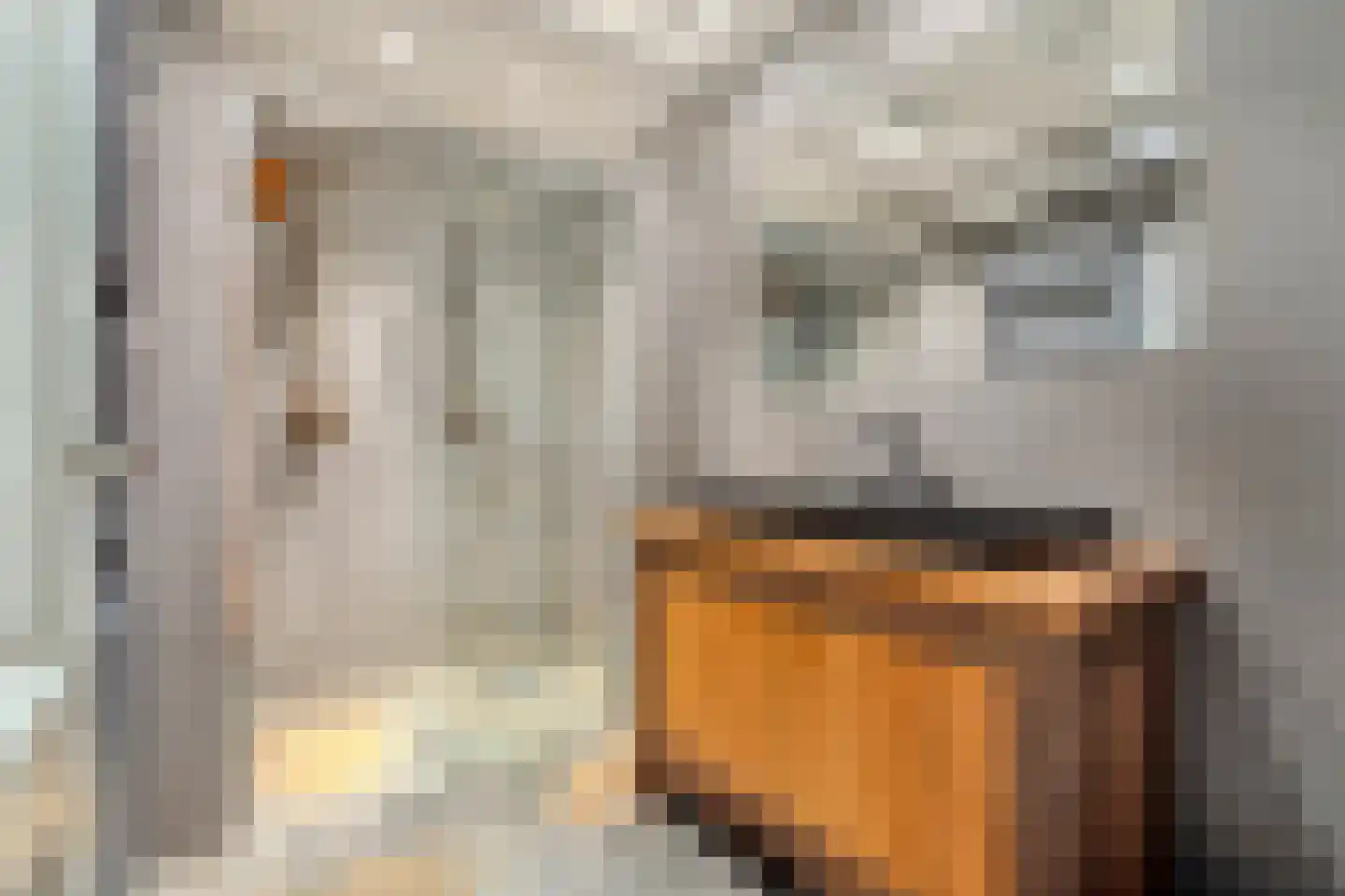 Cornelis Jolstraat 28 A Den Haag thumbnail 9