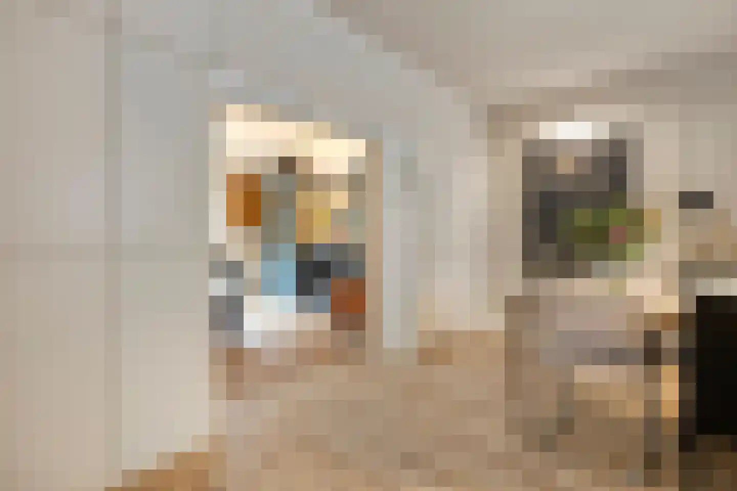 Cornelis Jolstraat 30 Oss thumbnail 17