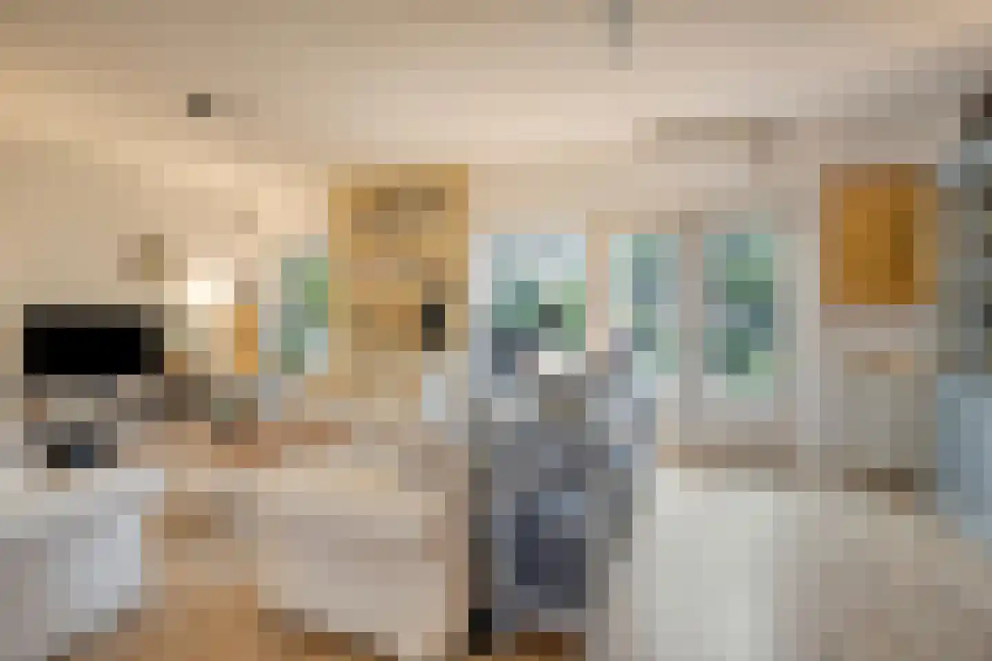 Cornelis Jolstraat 30 Oss thumbnail 18