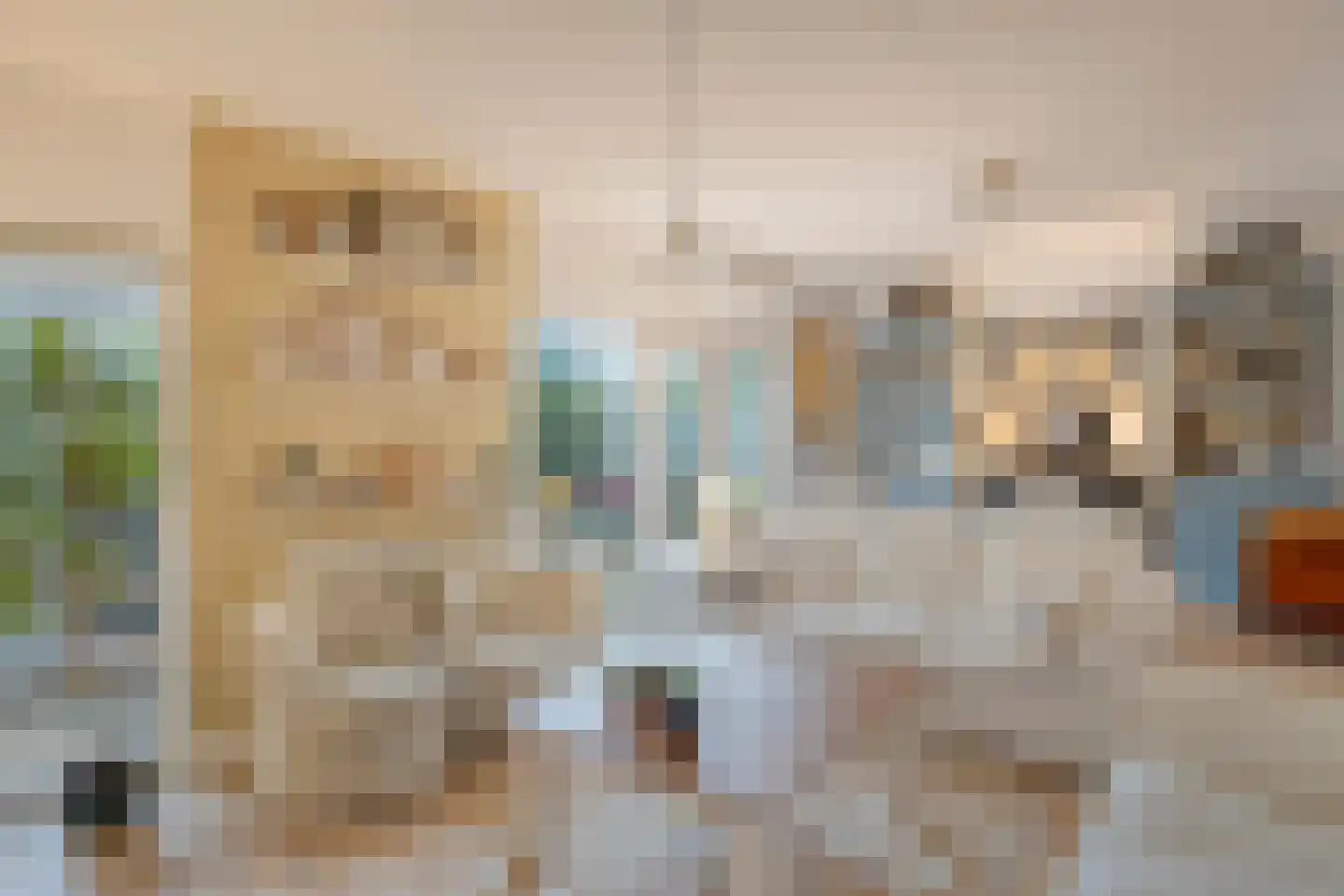 Cornelis Jolstraat 30 Oss thumbnail 23