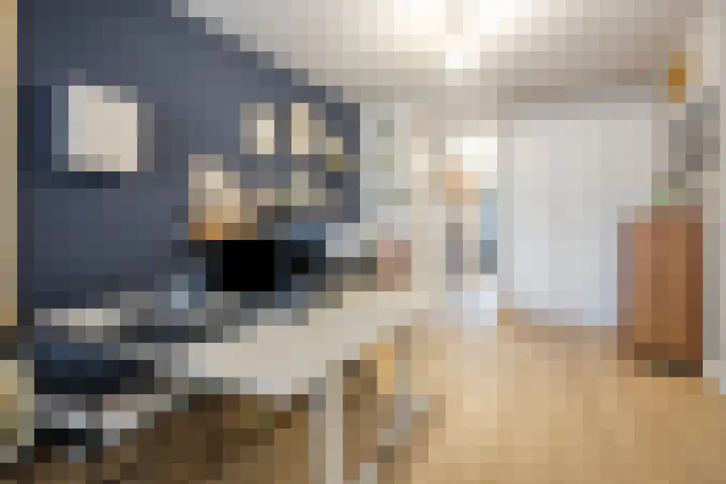 Cornelis Jolstraat 30 Oss thumbnail 27