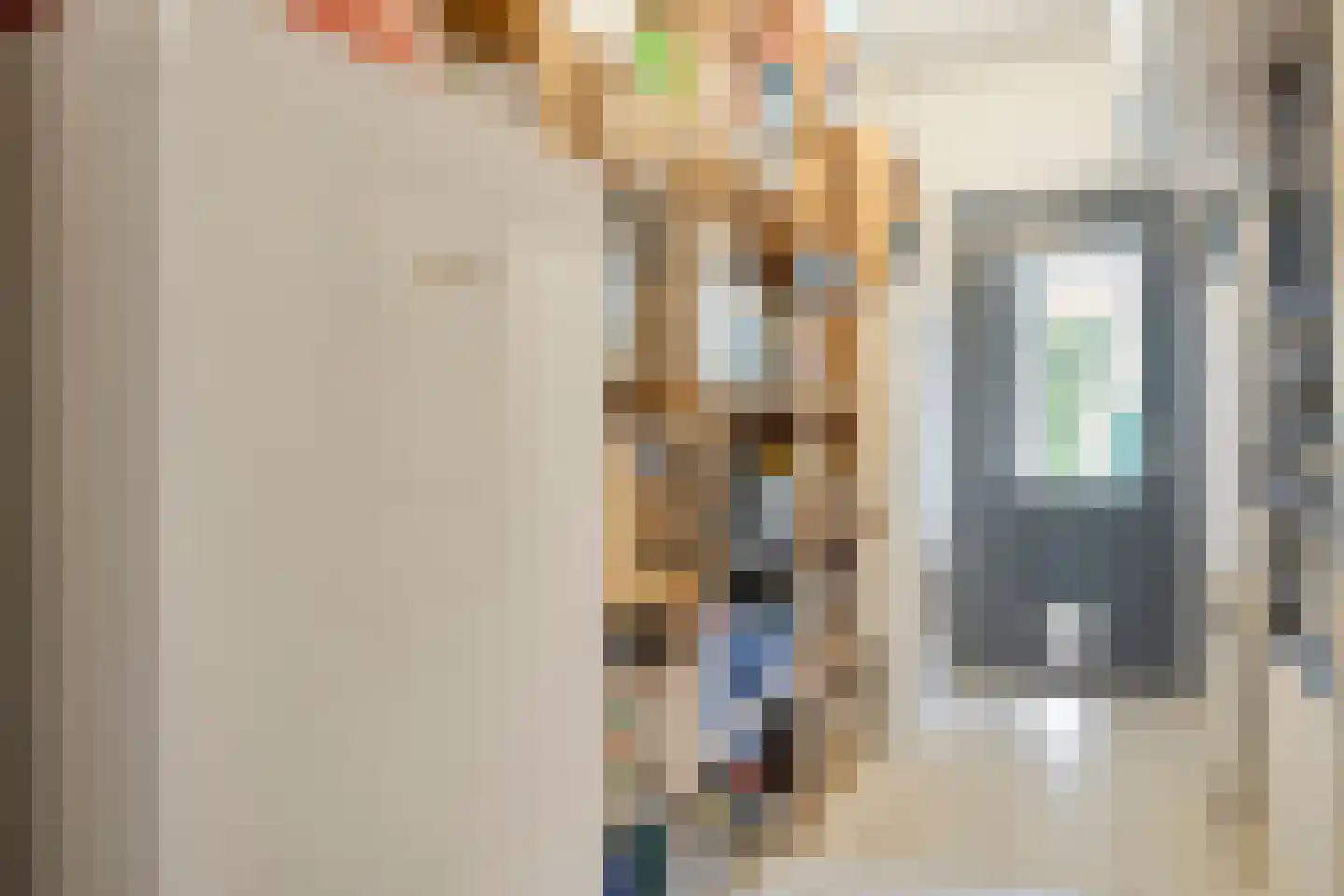 Cornelis Jolstraat 30 Oss thumbnail 28
