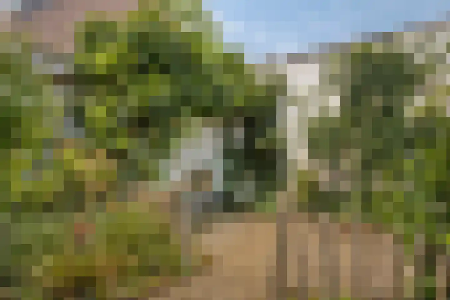 Cornelis Jolstraat 30 Oss thumbnail 34