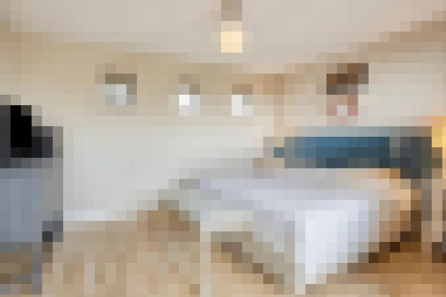 Cornelis Jolstraat 30 Oss thumbnail 44