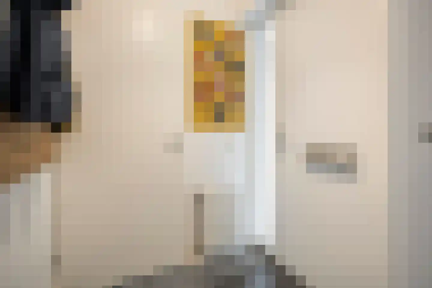 Cornelis Jolstraat 30 Oss thumbnail 8