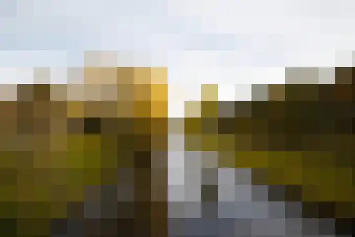 Cornelis Jolstraat 32 Den Haag thumbnail 50