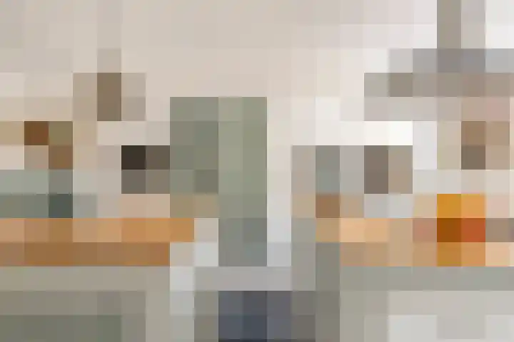 Cornelis Jolstraat 32 Oss thumbnail 11