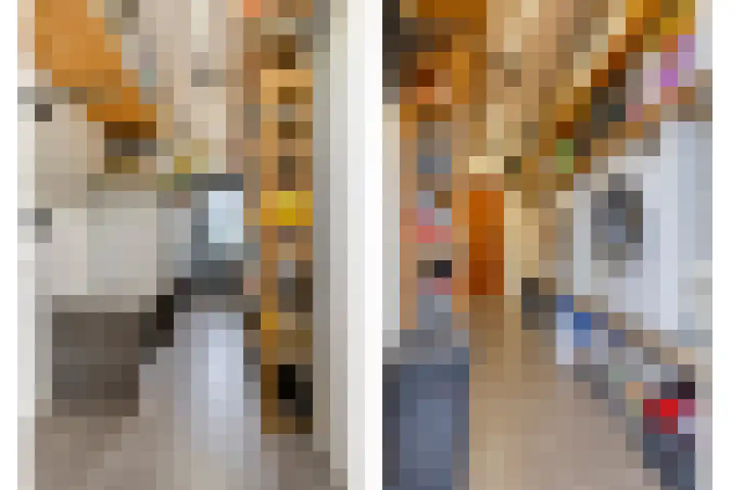 Cornelis Jolstraat 32 Oss thumbnail 19