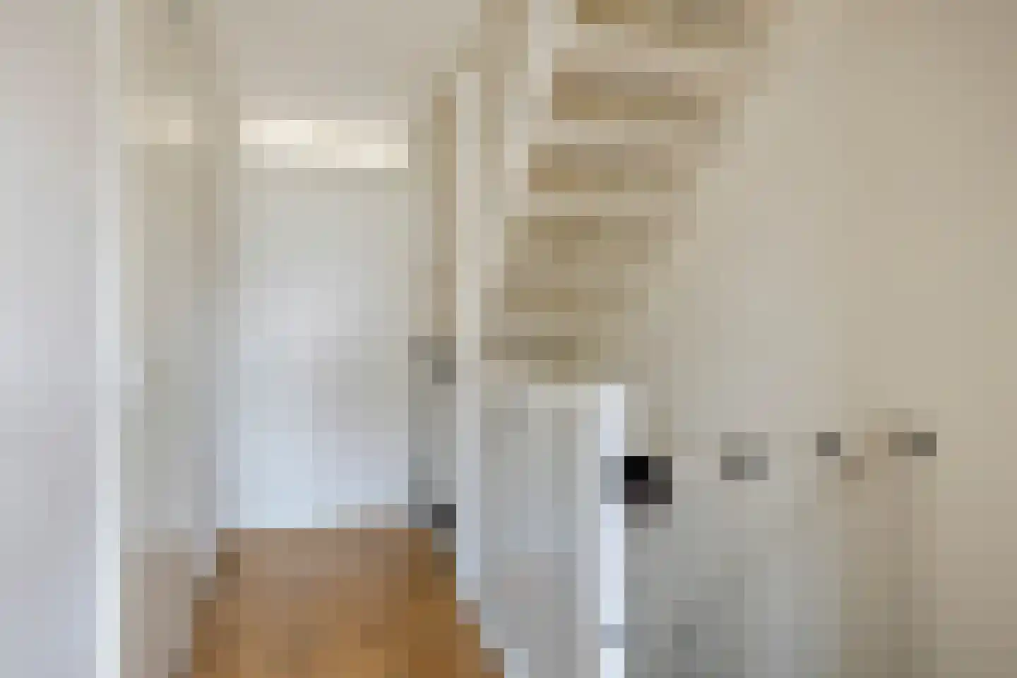Cornelis Jolstraat 32 Oss thumbnail 21