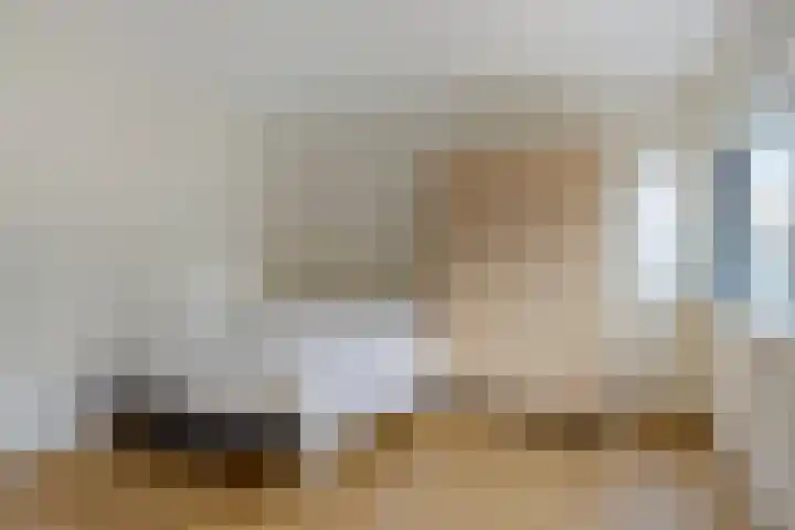 Cornelis Jolstraat 32 Oss thumbnail 23