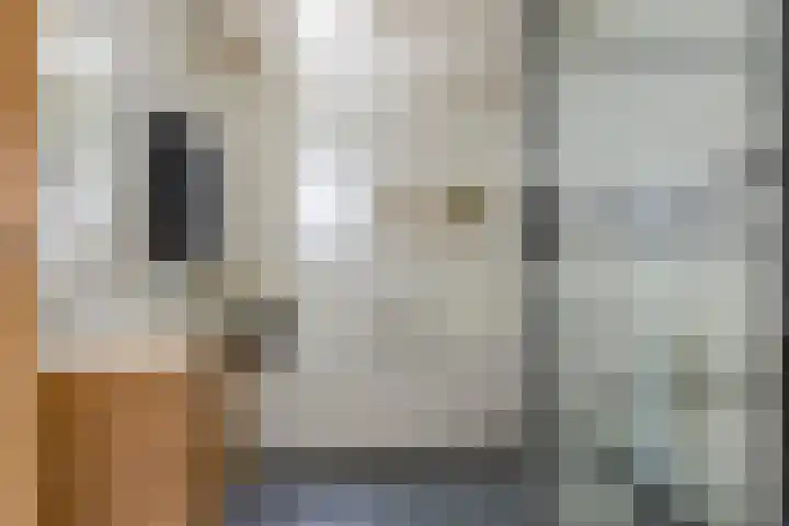 Cornelis Jolstraat 32 Oss thumbnail 25