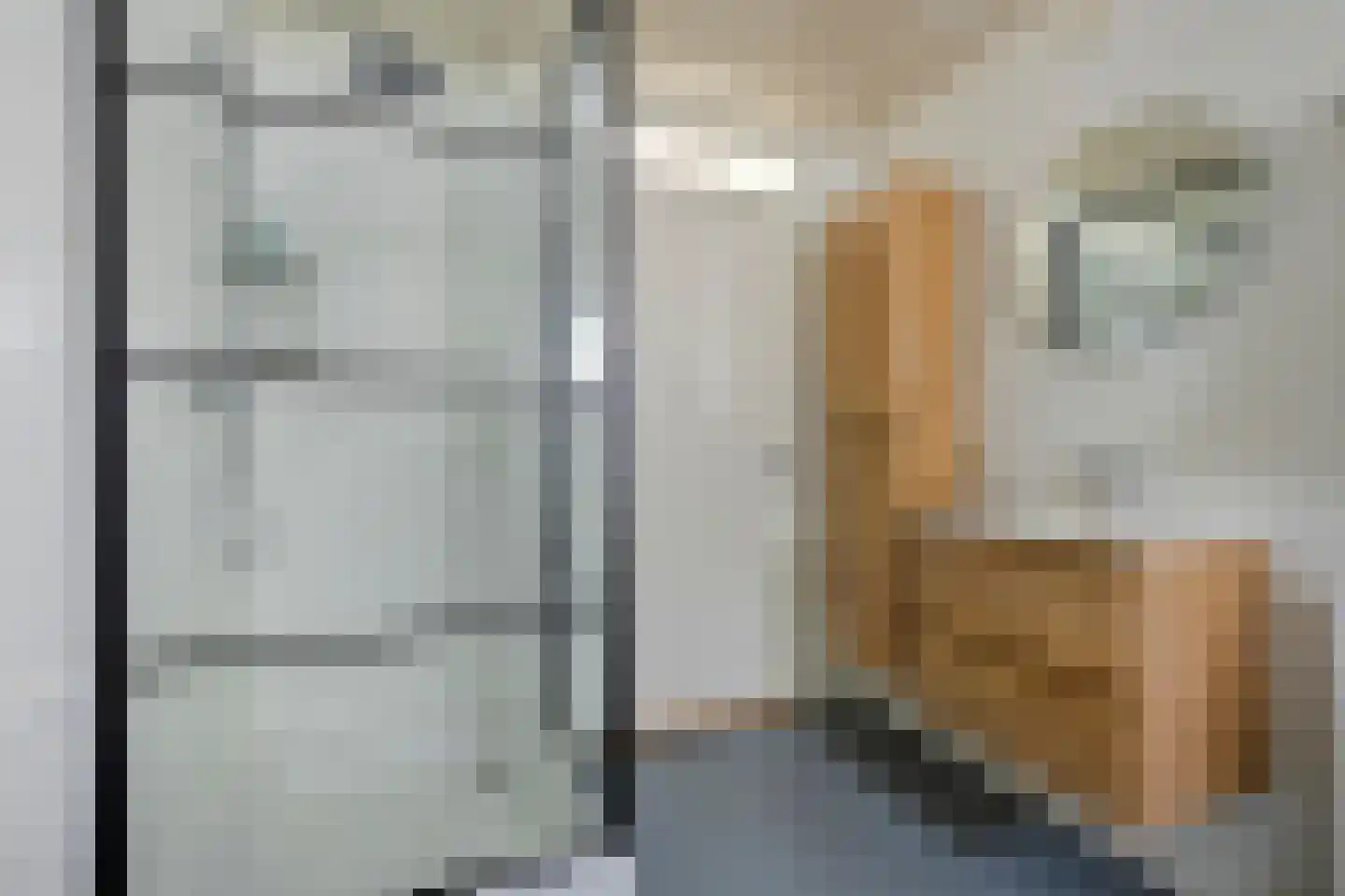 Cornelis Jolstraat 32 Oss thumbnail 27