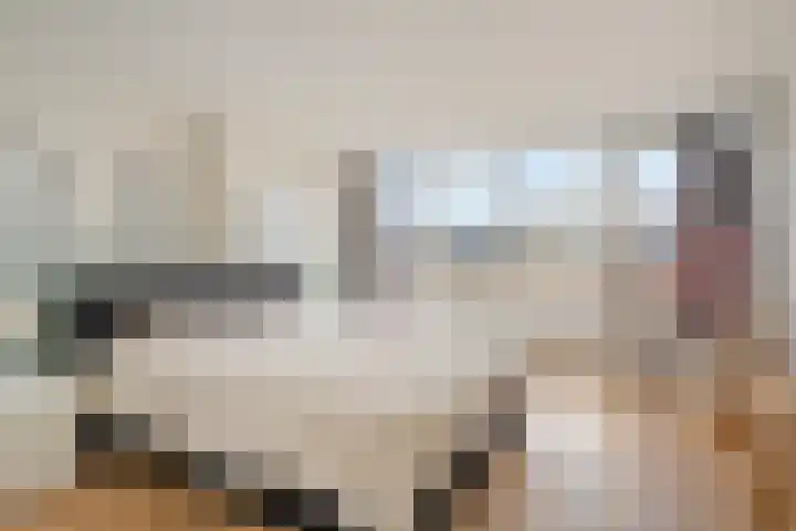 Cornelis Jolstraat 32 Oss thumbnail 31