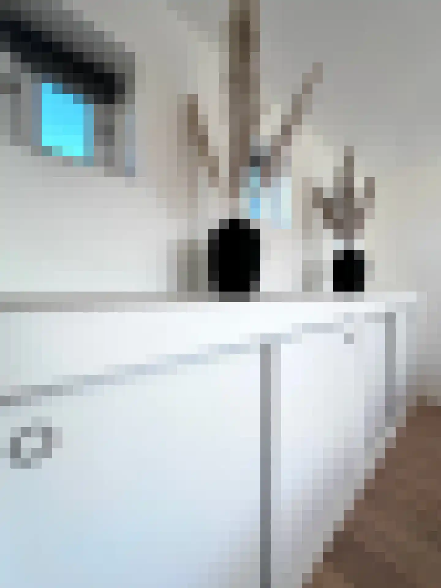 Cornelis Jolstraat 32 Oss thumbnail 32