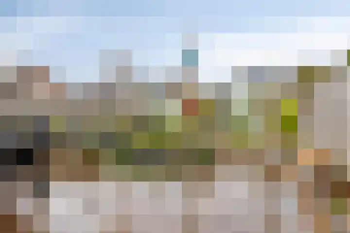 Cornelis Jolstraat 32 Oss thumbnail 38