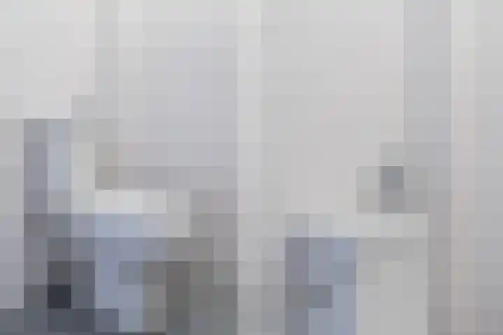 Cornelis Jolstraat 32 Oss thumbnail 4