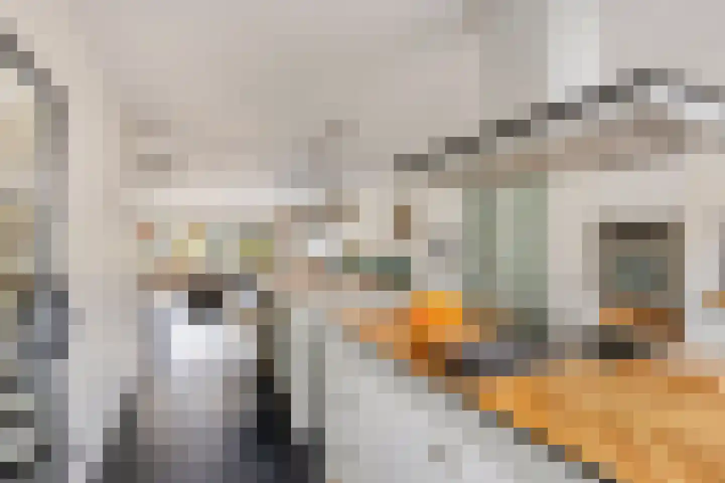 Cornelis Jolstraat 32 Oss thumbnail 9