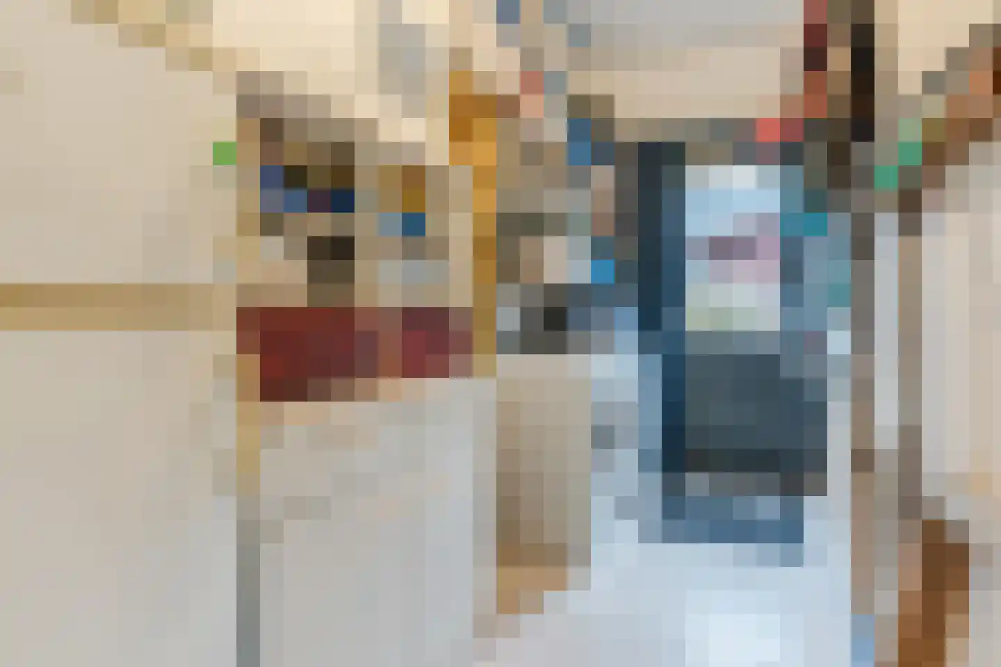 Cornelis Jolstraat 34 Oss thumbnail 12