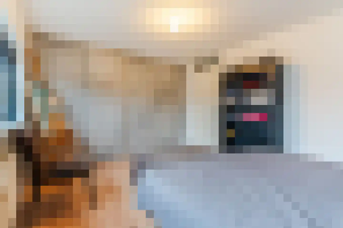 Cornelis Jolstraat 34 Oss thumbnail 15