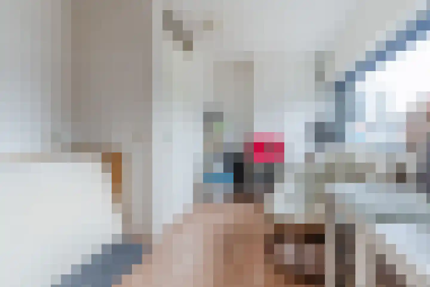 Cornelis Jolstraat 34 Oss thumbnail 16
