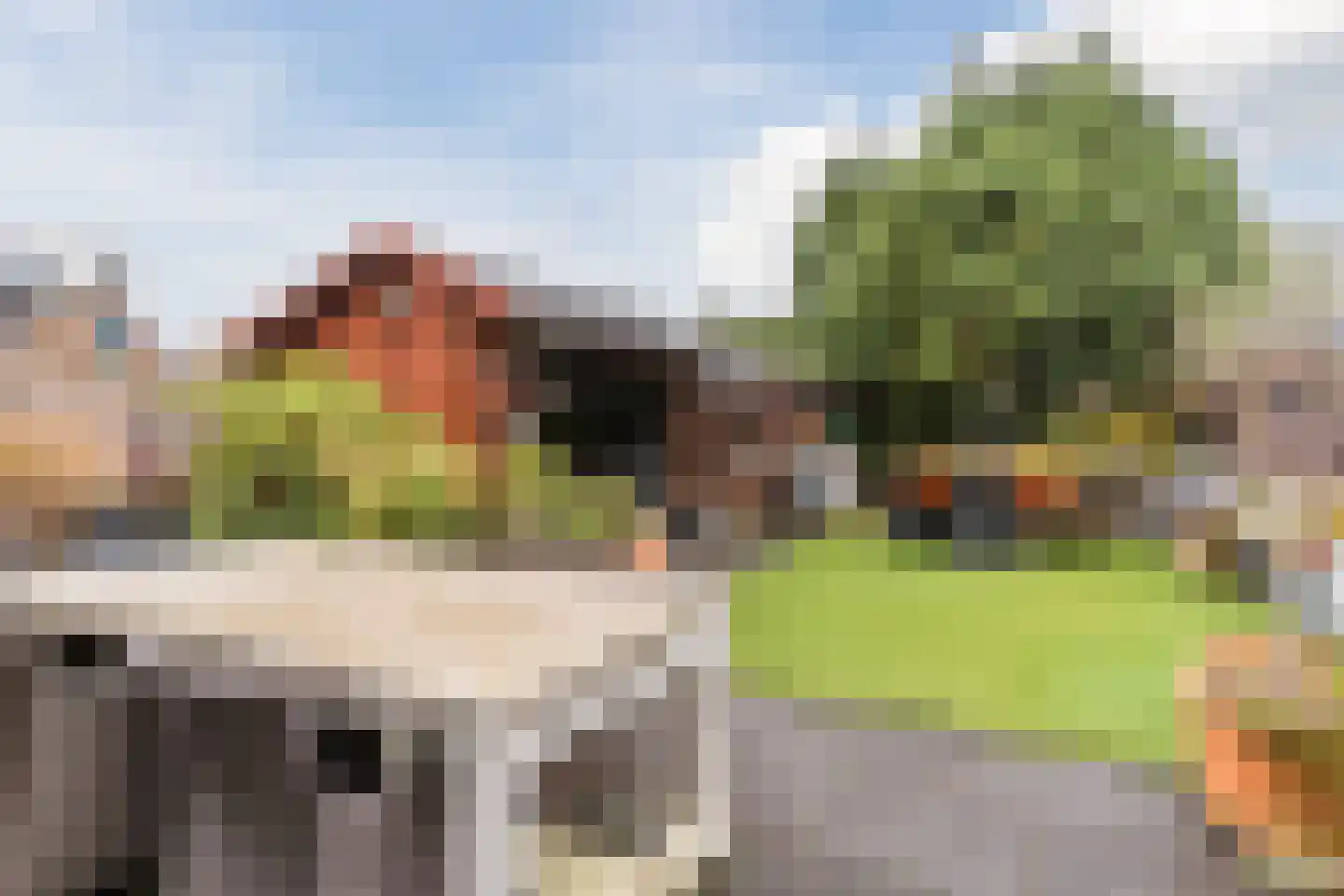Cornelis Jolstraat 34 Oss thumbnail 24
