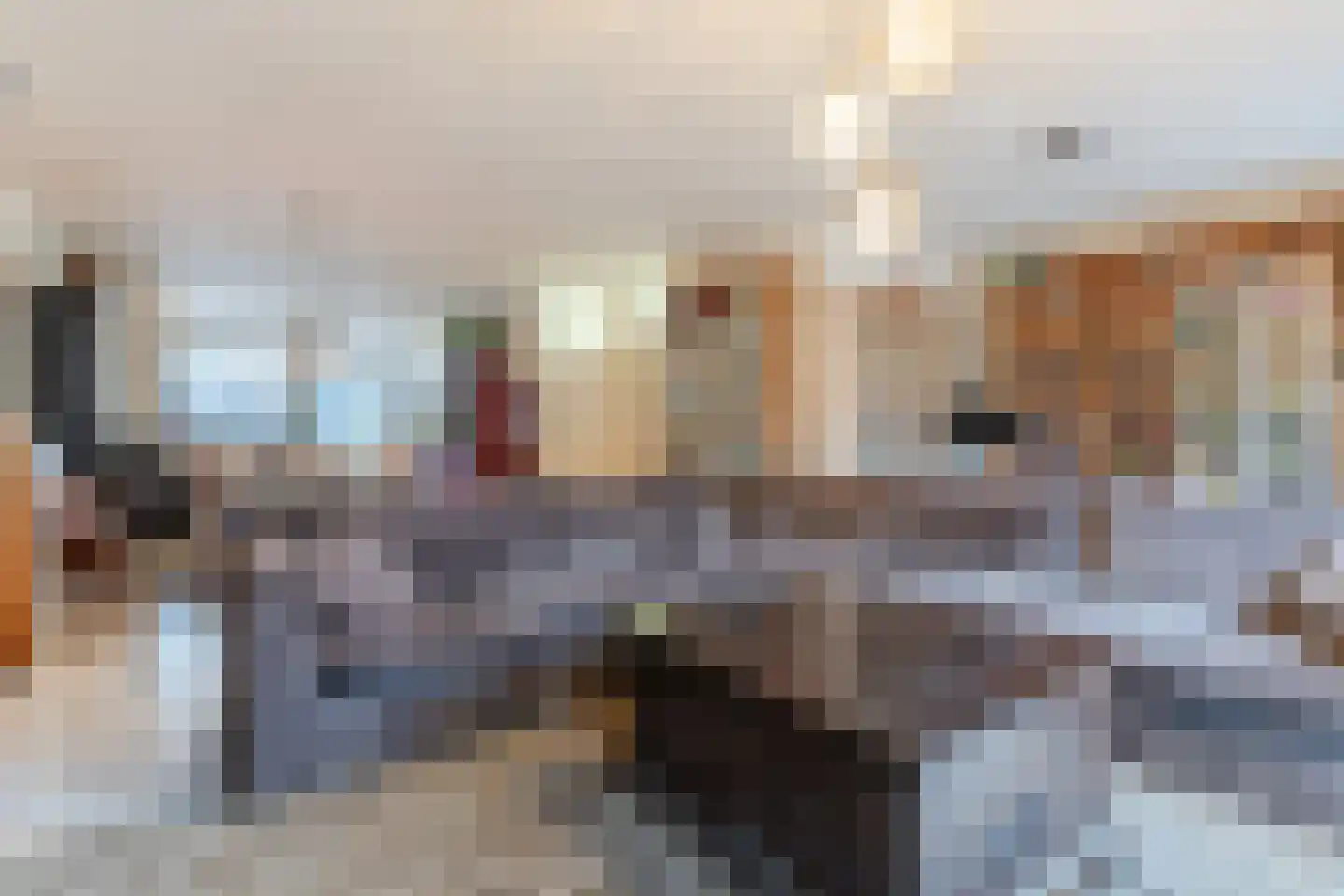 Cornelis Jolstraat 34 Oss thumbnail 6
