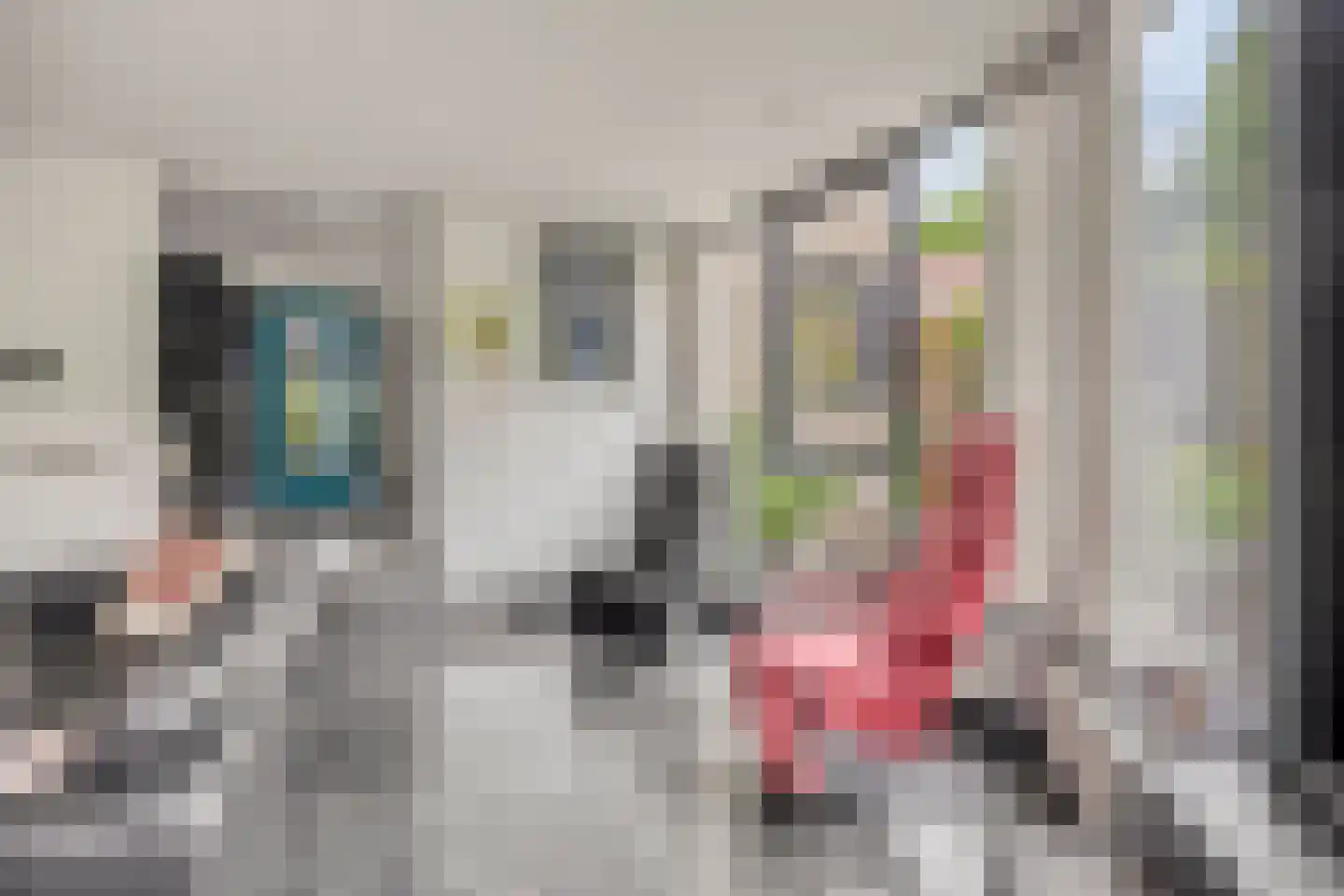 Cornelis Jolstraat 54 Haaksbergen thumbnail 10