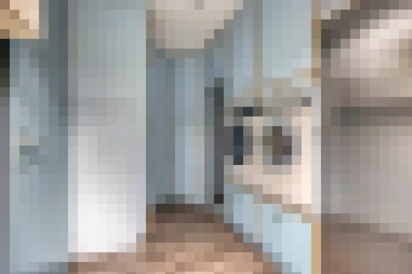 Cornelis Jolstraat 54 Haaksbergen thumbnail 17