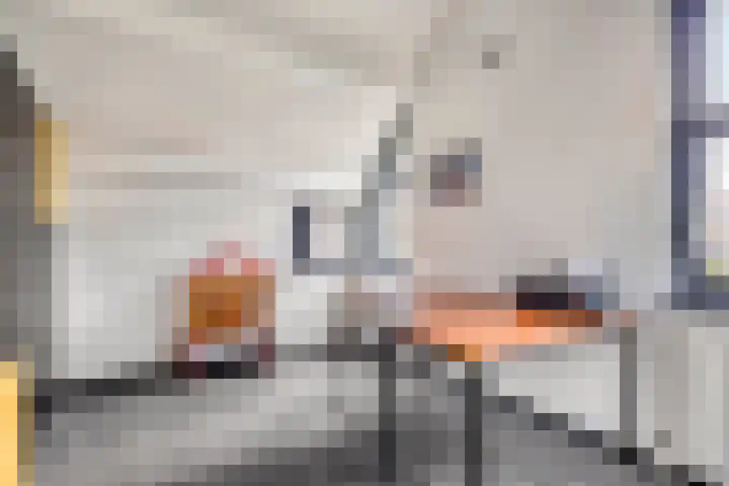 Cornelis Jolstraat 54 Haaksbergen thumbnail 33