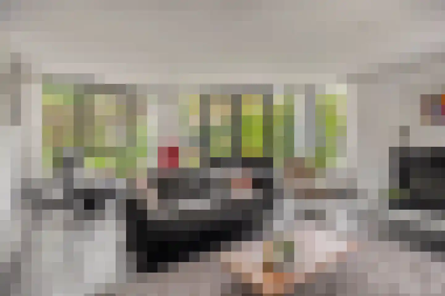 Cornelis Jolstraat 54 Haaksbergen thumbnail 4