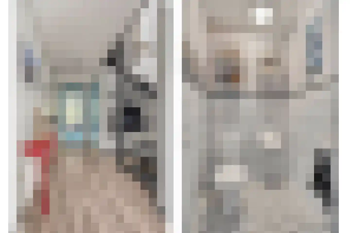 Cornelis Jolstraat 54 Haaksbergen thumbnail 7