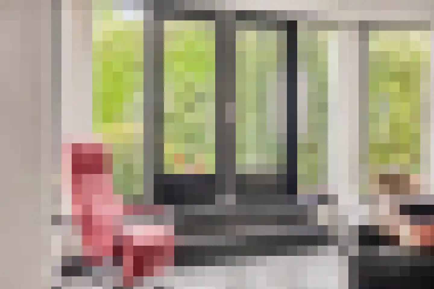 Cornelis Jolstraat 54 Haaksbergen thumbnail 9