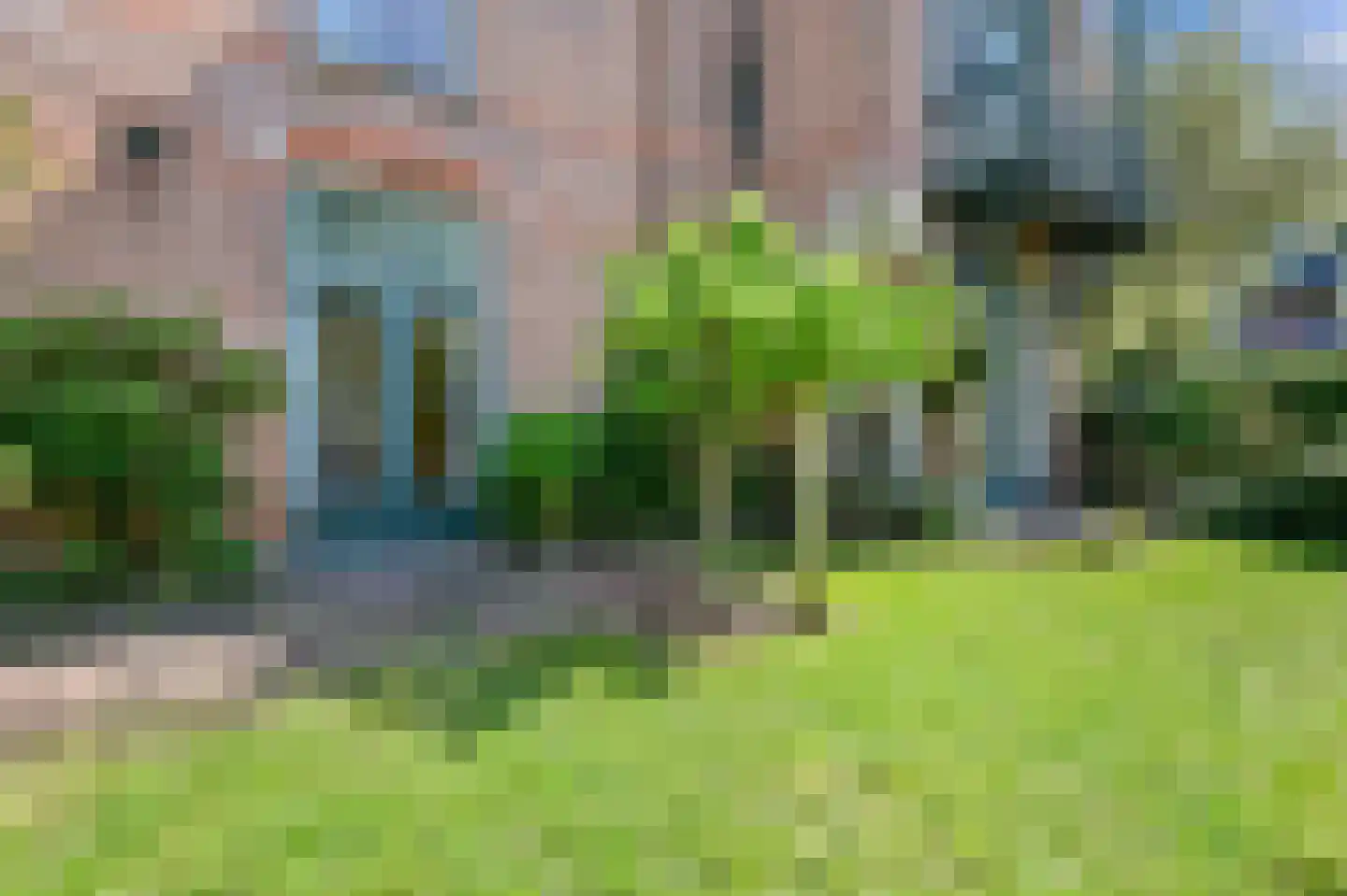 Cornelis Jolstraat 80 Den Haag thumbnail 14