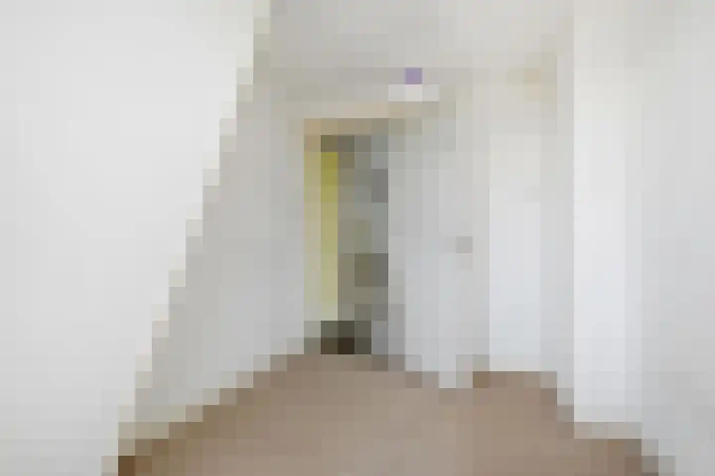 Cornelis Jolstraat 80 Den Haag thumbnail 40