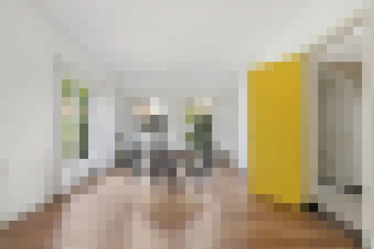 Cornelis Jolstraat 80 Den Haag thumbnail 9