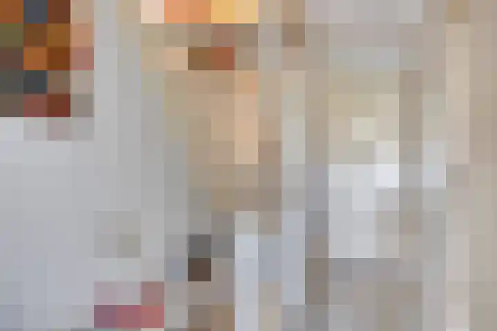 Cornelis Kagerlaan 22 Bergen (NH) thumbnail 12