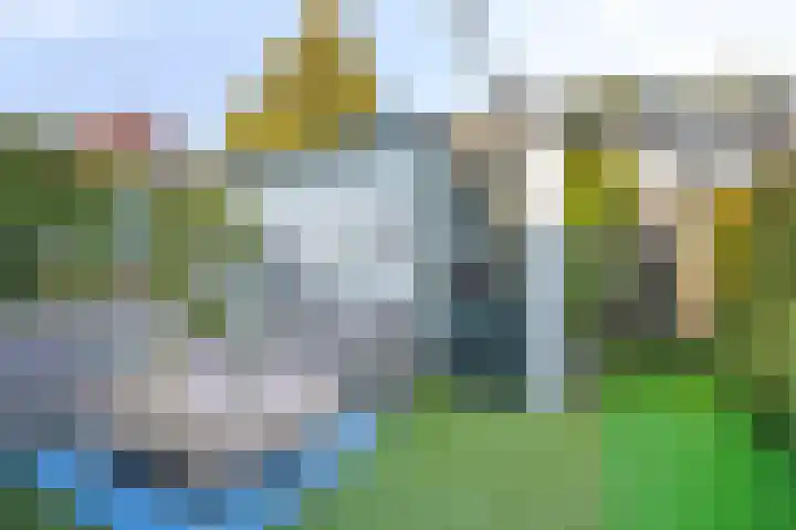 Cornelis Kagerlaan 22 Bergen (NH) thumbnail 24